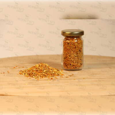 Polen 100 GR