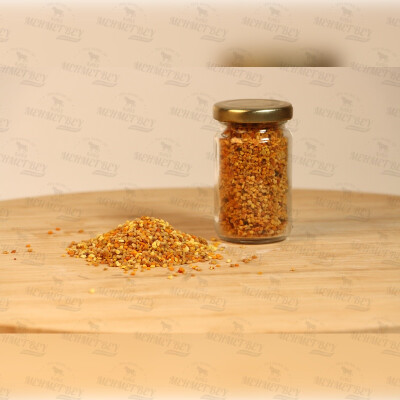 Polen 100 GR